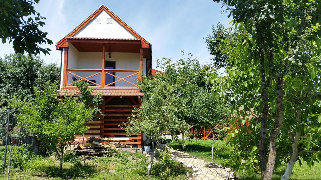 Casa Agnes Vendeghaz Ξενοδοχείο Fantanele  Εξωτερικό φωτογραφία