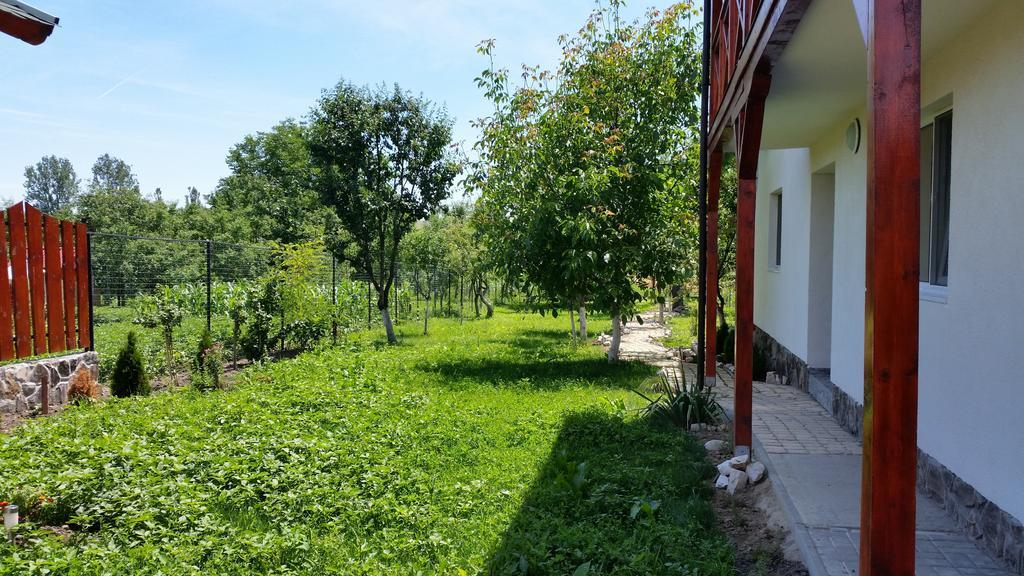 Casa Agnes Vendeghaz Ξενοδοχείο Fantanele  Εξωτερικό φωτογραφία
